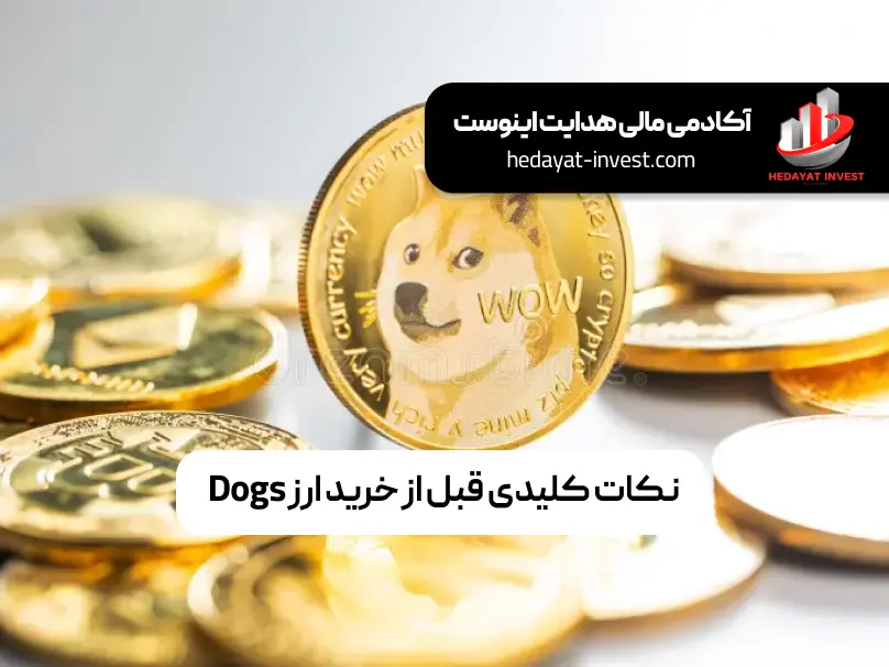 تحقیق و بررسی بیشتر درباره ارز Dogs: پیش از سرمایه‌گذاری، بهتر است اطلاعات بیشتری درباره پروژه و اهداف آن به دست آورید. معمولاً ارزهایی که با اهداف خیریه وارد بازار می‌شوند، نوسانات قیمتی بالایی دارند. مدیریت سرمایه و جلوگیری از سرمایه‌گذاری کلان: به دلیل نوسانات بالا و عدم پیش‌بینی دقیق بازار، توصیه می‌شود که تنها بخشی از سرمایه خود را در این نوع ارزها وارد کنید. آگاهی از نوسانات بازار ارزهای دیجیتال: ارزهای دیجیتال به طور کلی بازارهای پرنوسانی دارند و ارزهایی مانند Dogs که جدیدتر هستند، ممکن است نوسانات شدیدتری را تجربه کنند.